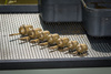 Matrix Koszyk Maggot Feeder Small 15g