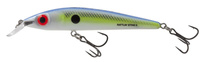 Salmo Wobler RATTLIN STING Sexy Shad 9cm 11g