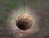 Nash BALL MAKER 60mm Prasa do Kulek