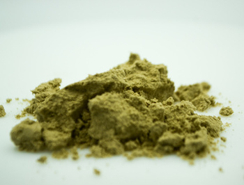 Massive Baits Komponent Mączka PRE-Digested Fishmeal 1kg