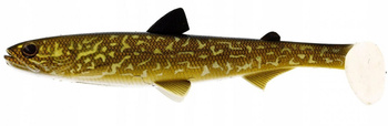 Westin Hypoteez ST Natural Pike 25cm/110g