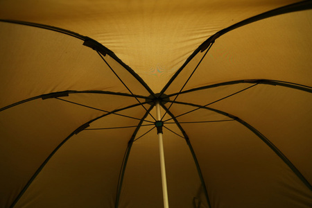 FOX Parasol Khaki Brolly 60 cali Wodoodporny 2000mm