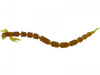 Westin BloodTeez Worm Motoroil Gold 5,5cm