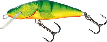 Salmo Wobler Bullhead 6cm Hot Perch Pływający
