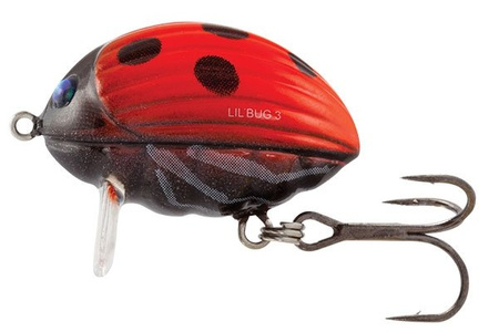 Salmo Wobler Lil Bug 2cm 2,8g Ladybird Pływający