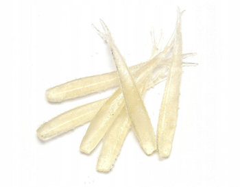 Iron Claw Jaskółka Dizzy Shad 8cm Kolor: A 6szt