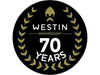 Westin CARBON CLASSIC CAP Czapka z Daszkiem
