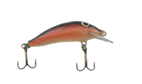 Assan Wobler TROUT 21 4,0cm 2,5g