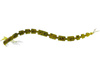 Westin BloodTeez Worm 5,5cm 0,5g Seaweed Pearl  8szt.