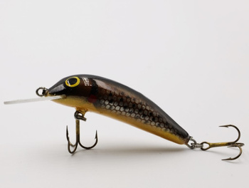 Assan Wobler TROUT 5.0 14 5cm 4,5g