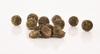 Nash KEY CRAY CULTURED HOOKBAITS 20mm
