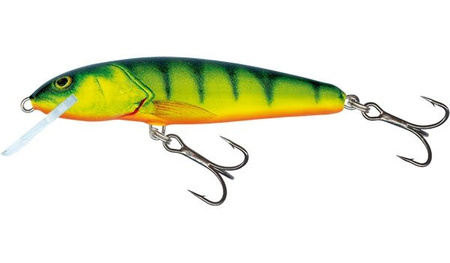 Salmo Wobler Minnow 5cm 3g Hot Perch Pływający