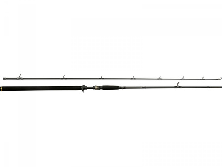 Westin Wędka W3 Powercast-T 248cm XH 20-80g