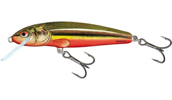 Salmo Wobler Minnow 5cm 3g Rainbow Dace Pływający