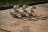 Matrix Koszyk Maggot Feeder Medium 40g