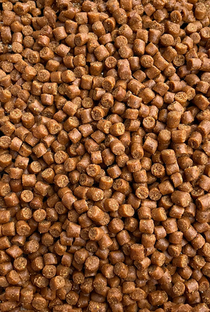 Feeder Bait Pellet 4mm 800g Epidemia