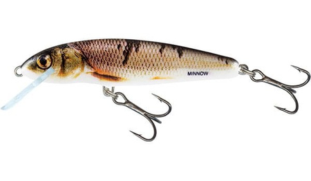 Salmo Wobler Minnow 5cm/3g Wounded Dace Pływający