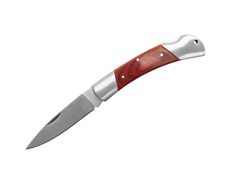 Delphin Scyzoryk Campy 9,5cm