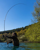 FOX Wędka Karpiowa EOS PRO 10'' 3,00lb 3,00m