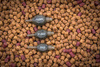 Matrix Ciężarek Inline Pellet Bomb 10g 3szt.