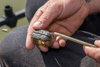 Matrix Koszyk Maggot Feeder Small 25g