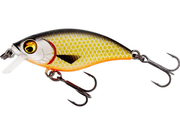 Westin Buzzbite SR Crankbait 4cm 4g Official Roach