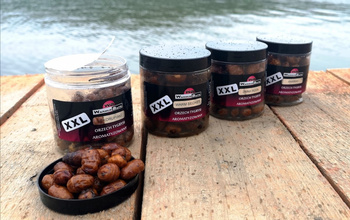 Warmuz Baits Orzech Tygrysi XXL 250ml Squid Octopus