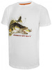 Graff Koszulka EKO PROJEKT T-shirt Sandacz XL