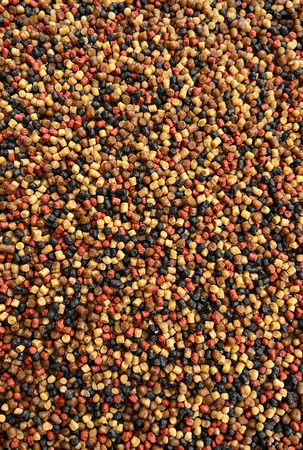 Feeder Bait Pellet Prestige Spice 2mm 800g