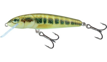 Salmo Wobler Minnow 5cm/5g Minnow tonący