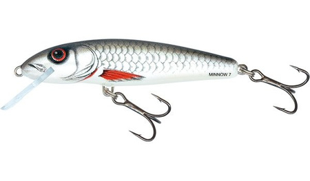 Salmo Wobler Minnow 7cm 6g Dace Pływający