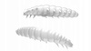 Libra Lures Guma Larva 35 - 001 White - Cheese