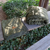 Radical Narzuta Warchild Bed Chair Cover