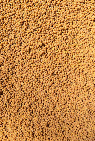 Feeder Bait Pellet gotowy 2mm 600g Wanilia