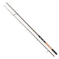 Robinson Wędka Ashigari Zander Spin 2,70m 10-45g