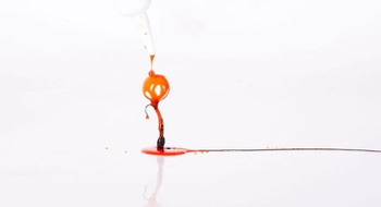 Nash PLUME JUICE 100ML PVA FRIENDLY Candy Nut