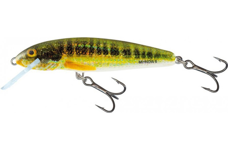 Salmo Wobler Minnow 6cm 4g Holo Real Minnow Pływający