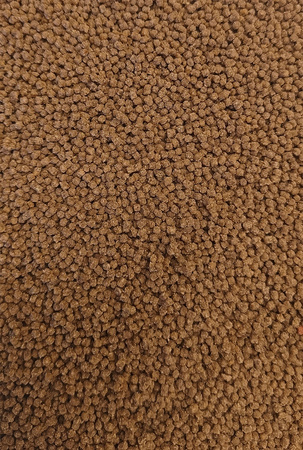 Feeder Bait Pellet gotowy 2mm 600g Orzech tygrysi