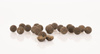Nash Kulki KEY CRAY STABILISED BOILIES 24mm 5kg