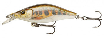 Wobler Cormoran Team Deep Baby Shad 4cm B.B Trout