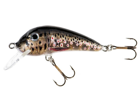 Jaxon Holo Select wobler Senso 6cm/6,5g EB Jaź Kleń