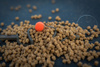 Matrix Przypon MXC-3 4” Bait Band Rigs roz. 14 0.180mm 2.9kg
