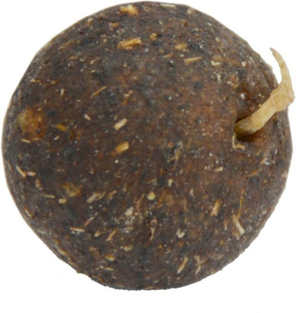 Radical Quantum DIRTY DEVIL BOILIES 20mm 1kg - KULKI ZANĘTOWE