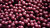 Warmuz Baits Kulki Zanętowe Punkt G 16mm 900g