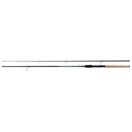 Jaxon Wędka Tenesa Spinning 2,40m 20-60g