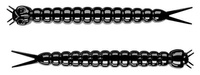 Libra Lures Guma 3,8cm Slight Worm 38 - 040 Black - Krill