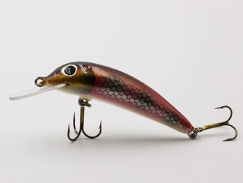 Assan Wobler TROUT 5.0 12 5cm 4,5g