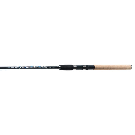 Jaxon Wędka Tenesa Spinning 3,00m 10-40g