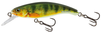 Salmo Wobler Slick Stick 6cm Young Perch