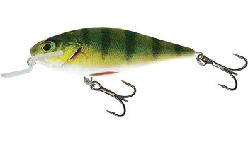 Salmo Wobler Executor 7cm/8g Real Perch pływający